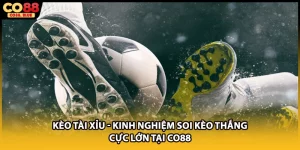 Thể Thao CO88 - Sân Chơi Cá Cược Đổi Thưởng Đẳng Cấp 2026